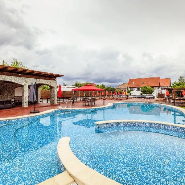 Pensiunea Iris, hotel in Turcineşti