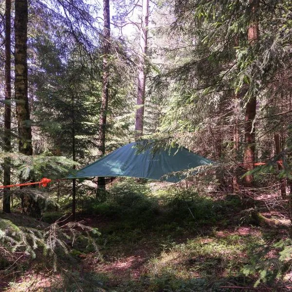 Baumzelt im Wald, hotel di Regen