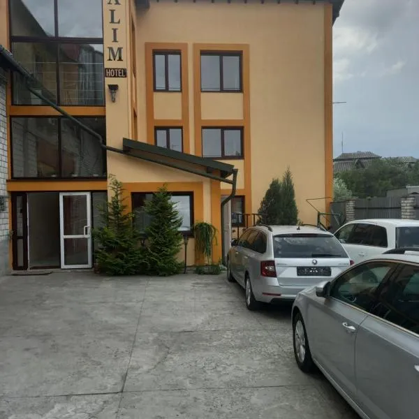 DALIM, hotel a Nizhneye Sinevidnoye