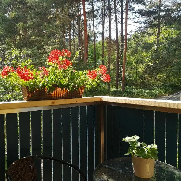 Miško studija, hótel í Nida