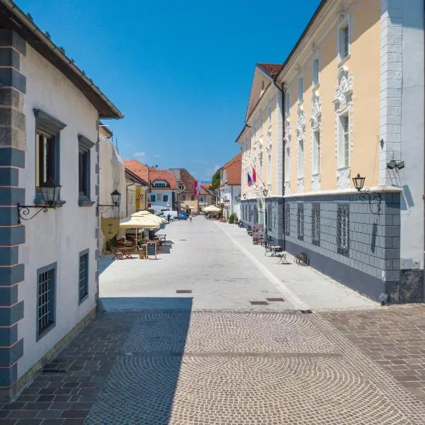 Vila Radolca apartments & rooms, hotel v destinaci Radovljica