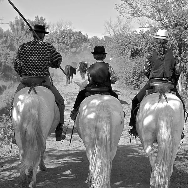 Mas du Menage en Camargue Manade Clauzel、Les Jasses dʼAlbaronのホテル