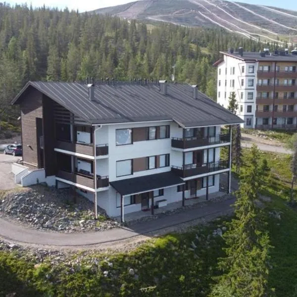 Villa Ylläs 101, hotel en Ylläsjärvi