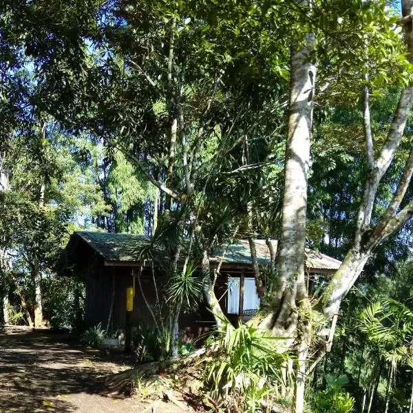 Pochotel Natural, hotel a Turrialba