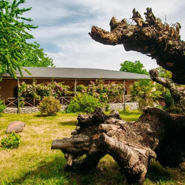 Chateau Eniseli, hotel i Eniseli