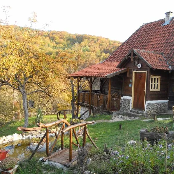 Apartment Cerova Kosa, hotel in Mokra Gora