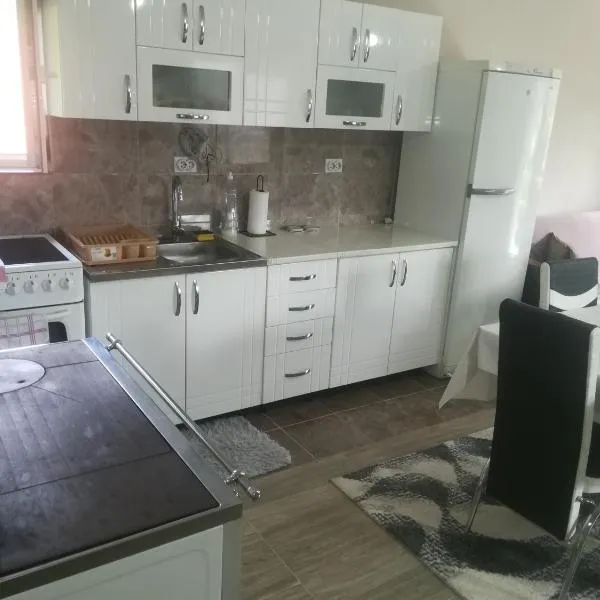 Smestaj Djordjevic, hotell sihtkohas Pirot