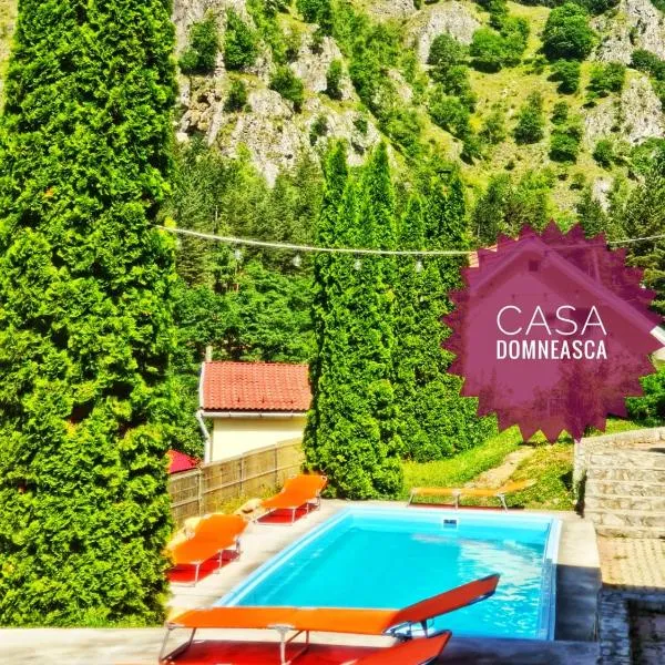 Casa Domneasca, hotel a Baia de Fier