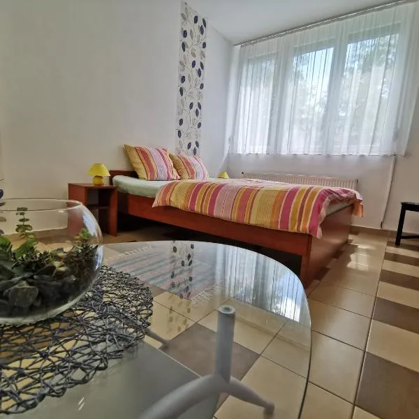 1st Floor Apartman, hotel in Szombathely