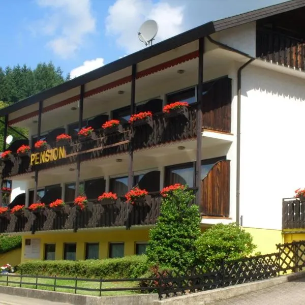 Pension Williams – hotel w mieście Seebach