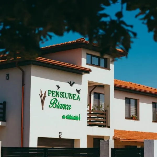 Pensiunea Bianca, hotel v destinaci Salcioara