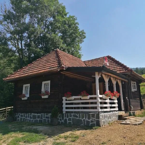 Etno selo Raković, hotel in Ivanjica