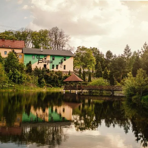Dom Gościnny BIEGUN – hotel w Zagórzu Śląskim