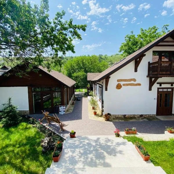 Valea Stâncii, hotel v destinaci Trebujeni
