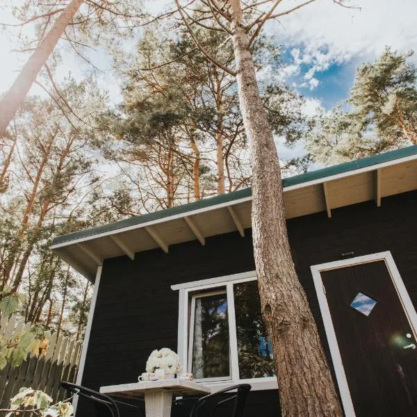 Kroņkalniņi, hotel v destinaci Lapmežciems