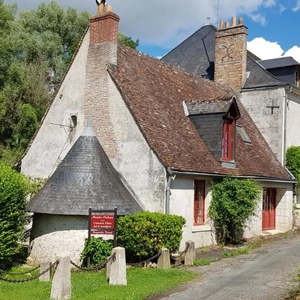 Le Moulin Hodoux, hotel in Pernay