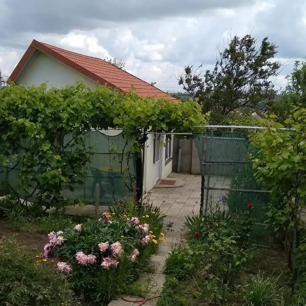 Домик у Ляны, hotel in Vapnyarka