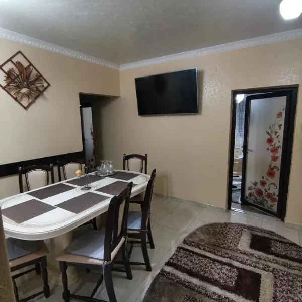 Apartament Central Băile Herculane、バイレ・ヘルクラネのホテル