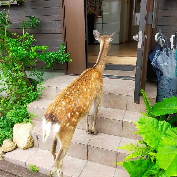 Deer hostel - 外国人向け - 日本人予約不可, hotel v destinaci Nara