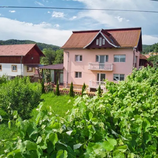 Vila Teo, Hotel in Bărăşti