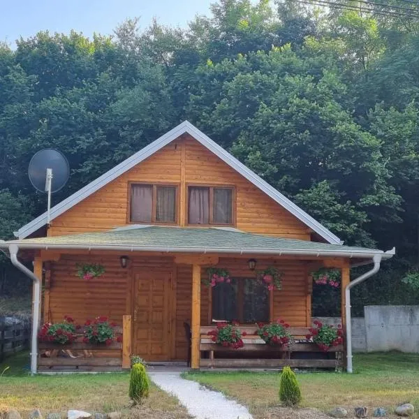 Brvnara Sljivic, hotel v destinaci Kraljevo
