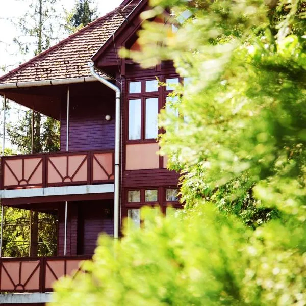 Ezüstfenyő Hotel, hotel in Hejce