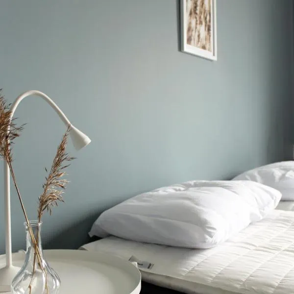 De la Gardie Park Vandrarhem Hostel, hotel v destinaci Lidköping
