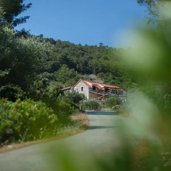 Olive Hill Familly House, hotel v destinaci Vis