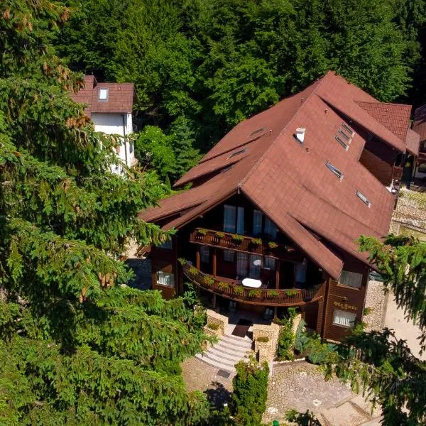 Vila Zorile, hotel in Poiana Brasov