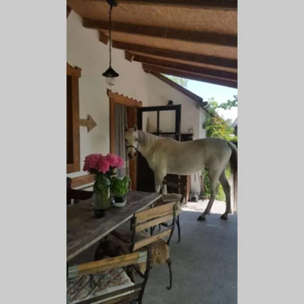 Igricz Farmház, hotel Pócsmegyeren