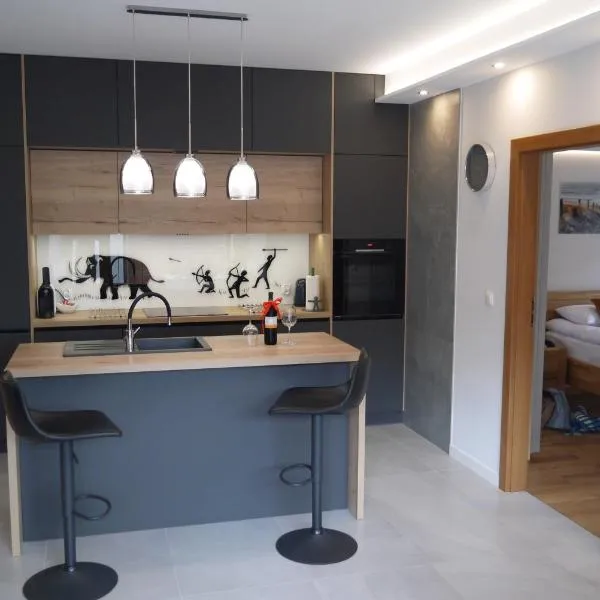 Nowy Apartament Zygmunta Premium, ξενοδοχείο σε Sośnicowice