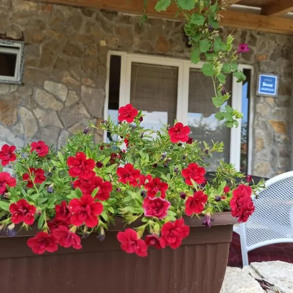 Apartment Mare, hotel di Gornji Zemunik