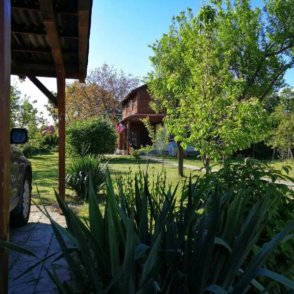 Szőlősi Diófa Vendégház, hotel in Balatonszőlős