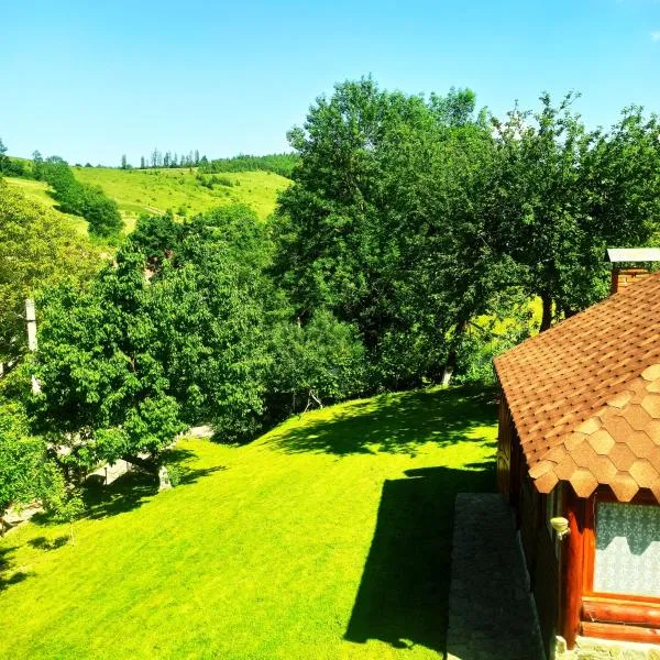 Садиба" У Василя", hotel v destinaci Volovec