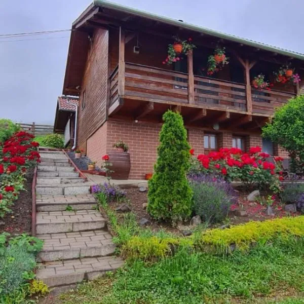 Casa Szabó Ház, hotel v destinaci Sovata