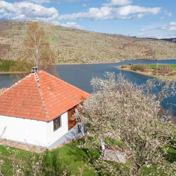 Uvac Griffon, hotel u gradu 'Družiniće'