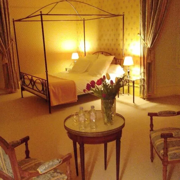 Château de Ré – hotel w mieście Le Petit-Pressigny