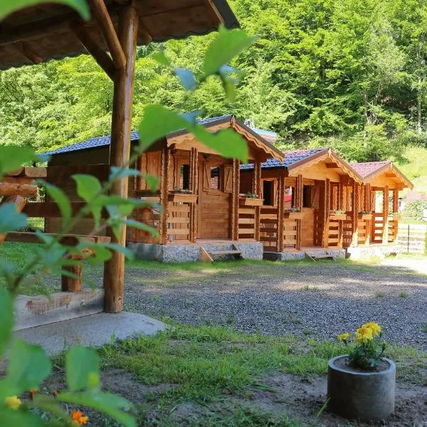 Căbănuțe Izbândiș, hotel v destinaci Şuncuiuş