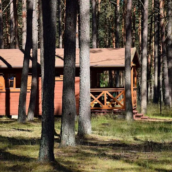 Leśniczówka-Wdzydze Pe eL, hotel v destinaci Wdzydze Kiszewskie