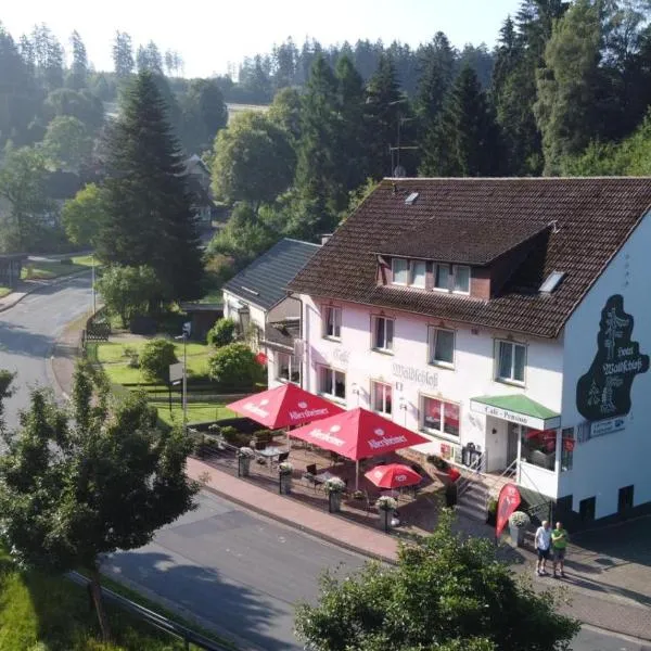 Pension Waldschloß，霍茲明登的飯店