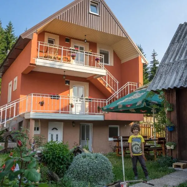 Apartments Dedeic, hotel in Žabljak