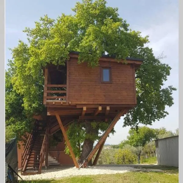 Casa sull'Albero Treehouse Costa dei Trabocchi, hotel v destinácii Torino di Sangro