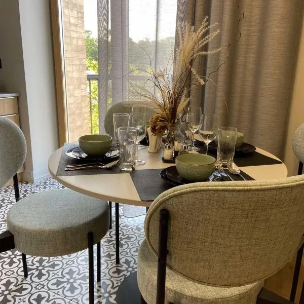 Lux appartments в центре города в стиле Loft, hotel in Vinnytsya