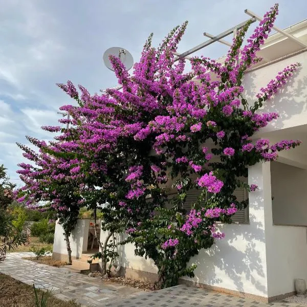 NOVALJA APARTMENTS by NENA, hotel v Novalji