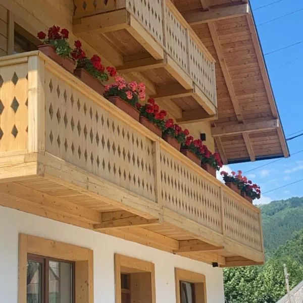 Anahouse, hotel din Vişeu de Sus