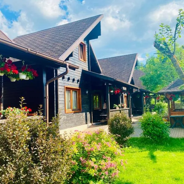 Pensiunea Galileo, hotel v destinaci Borşa