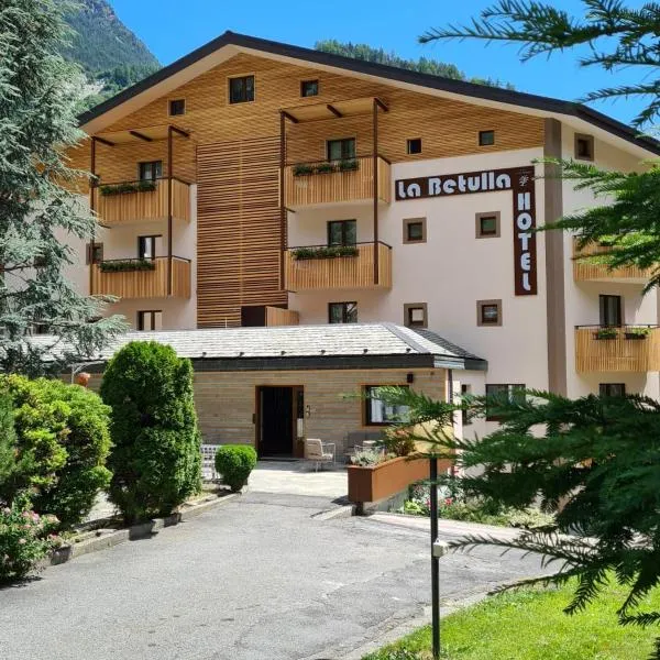 Meublè La Betulla, hotell i Chiesa in Valmalenco