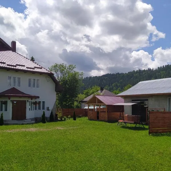 Casa Moldovita, hotel i Vatra Moldoviţei