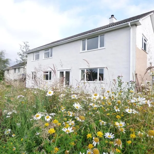 Highfield House, Parracombe, Modern B&B, hotel v destinaci Parracombe
