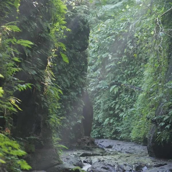Pramana Giri Kusuma, hotel v destinaci Payangan